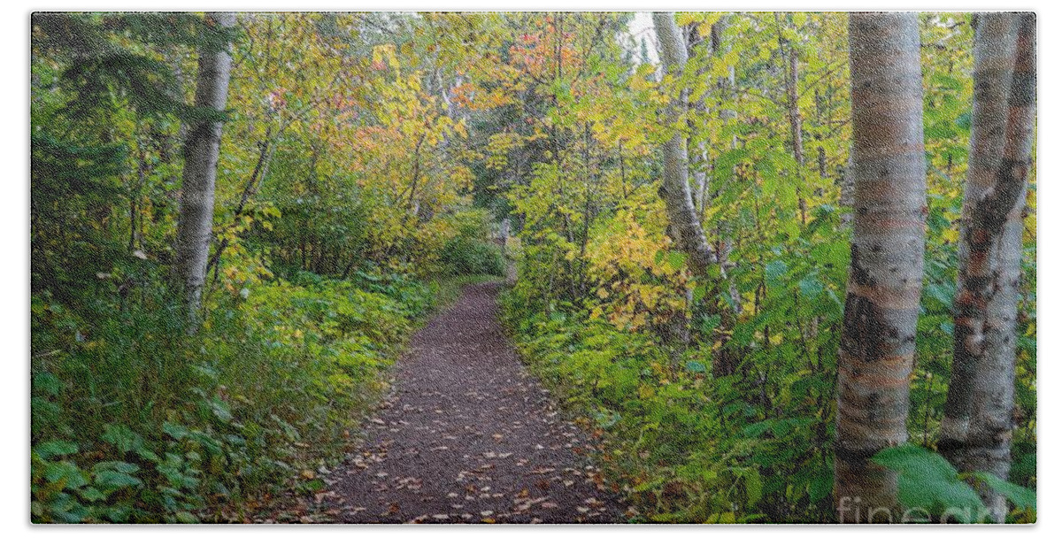 Trail Bath Towel featuring the photograph Autumn Woods by Susan Rydberg