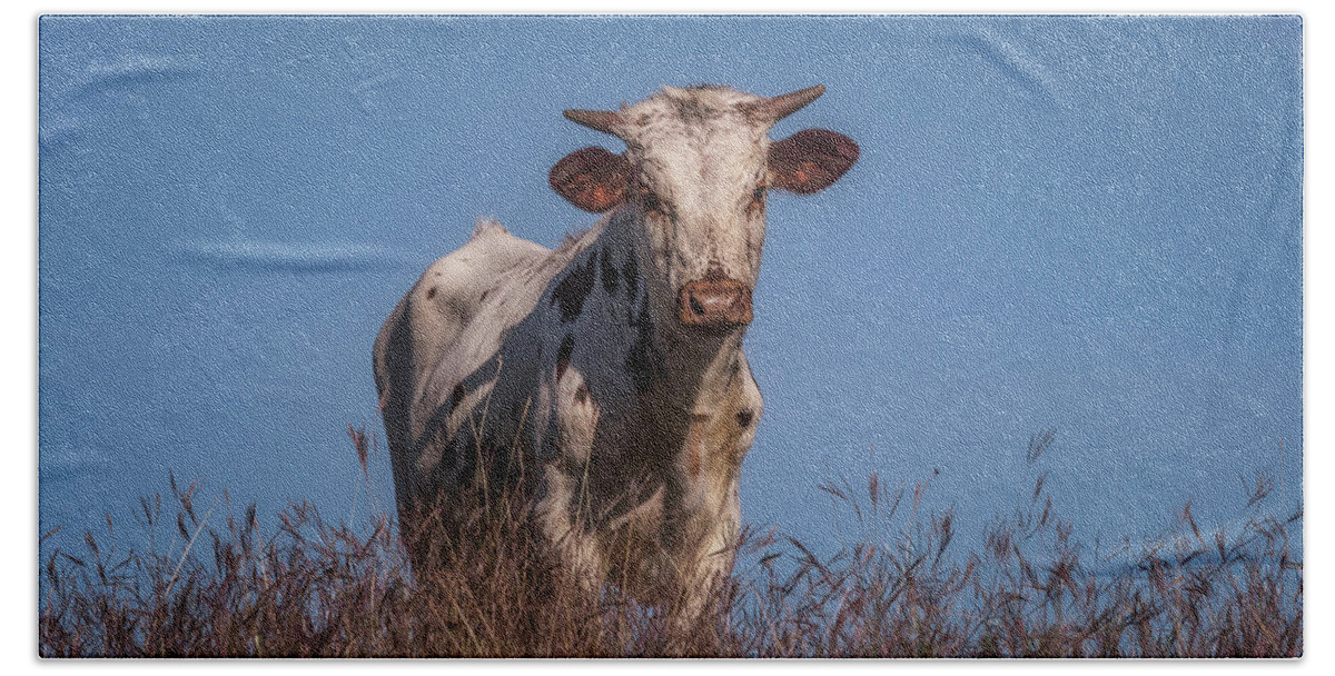 Longhorn Bath Towel featuring the photograph Baby in the Bush by Pamela Steege