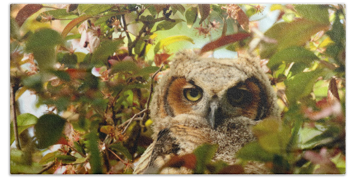 Great Horned Owl Bath Towel featuring the photograph Baby owl in spring blossoms by Heather King
