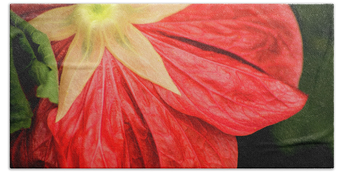 Flower Hand Towel featuring the photograph Back of Red Flower by Don Johnson