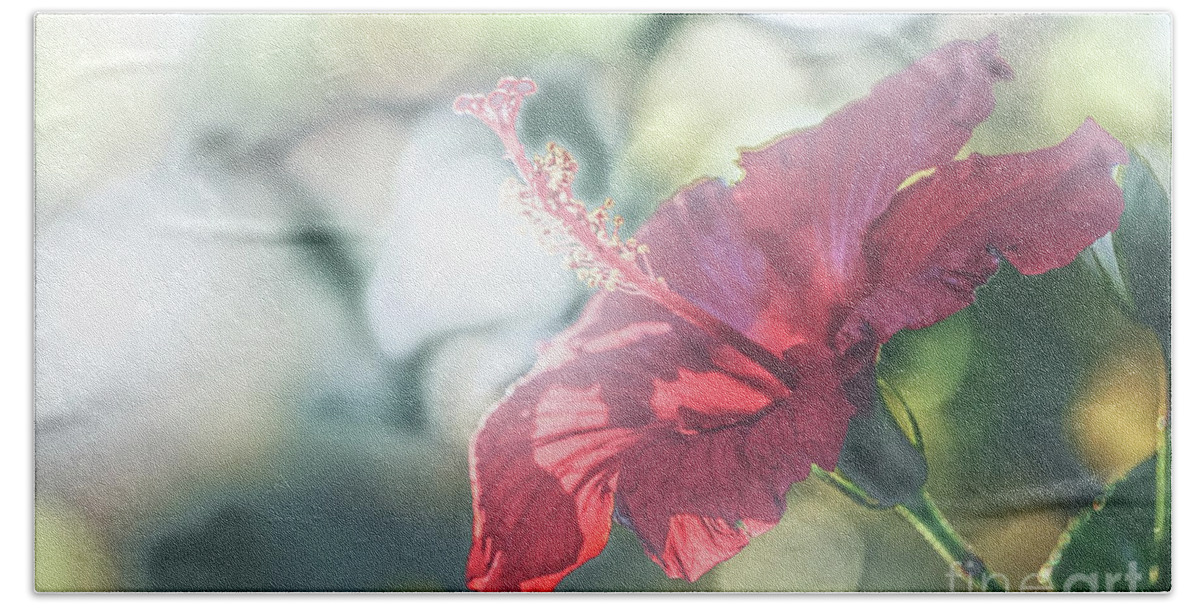 Flower Bath Towel featuring the photograph Backlit Stamin by Darcy Dietrich