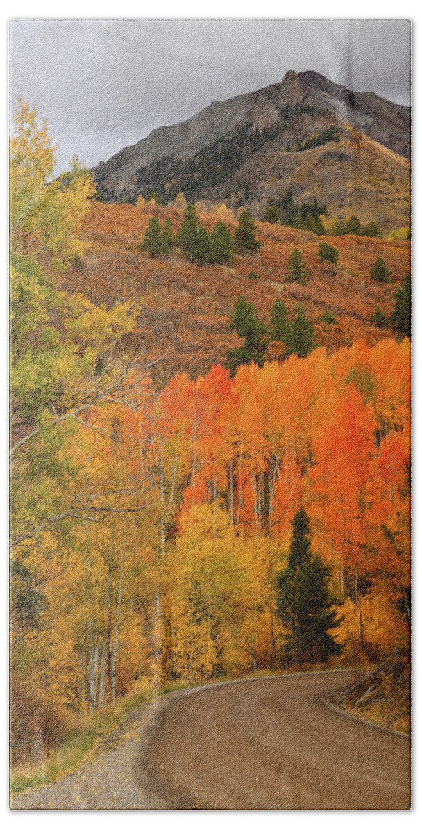 Colorado Hand Towel featuring the photograph Backroad Fall Colors near Telluride CO by Ray Mathis