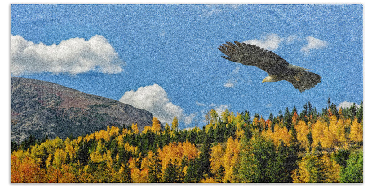 Aspen Hand Towel featuring the photograph Bald Eagle over the Aspen by Stephen Johnson