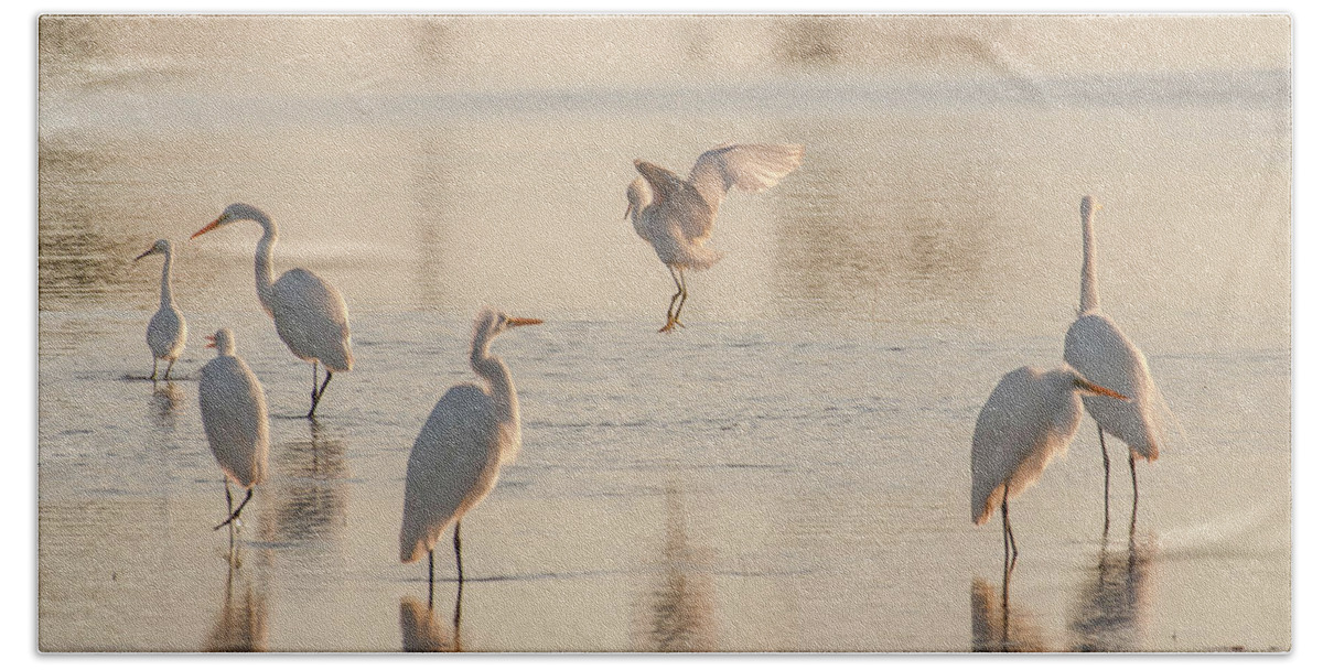 Birds Bath Towel featuring the photograph Ballet of the Egrets by Donald Brown