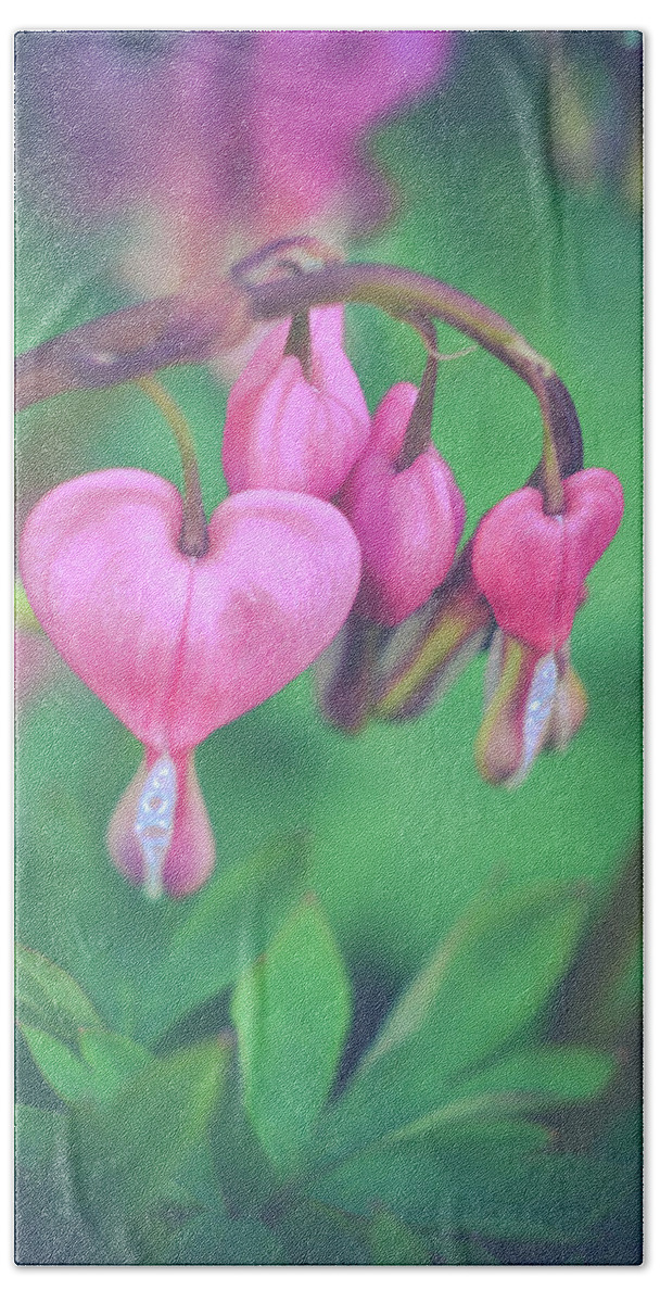 Bleeding Hearts Photograph Hand Towel featuring the photograph Be Mine by Michelle Wermuth