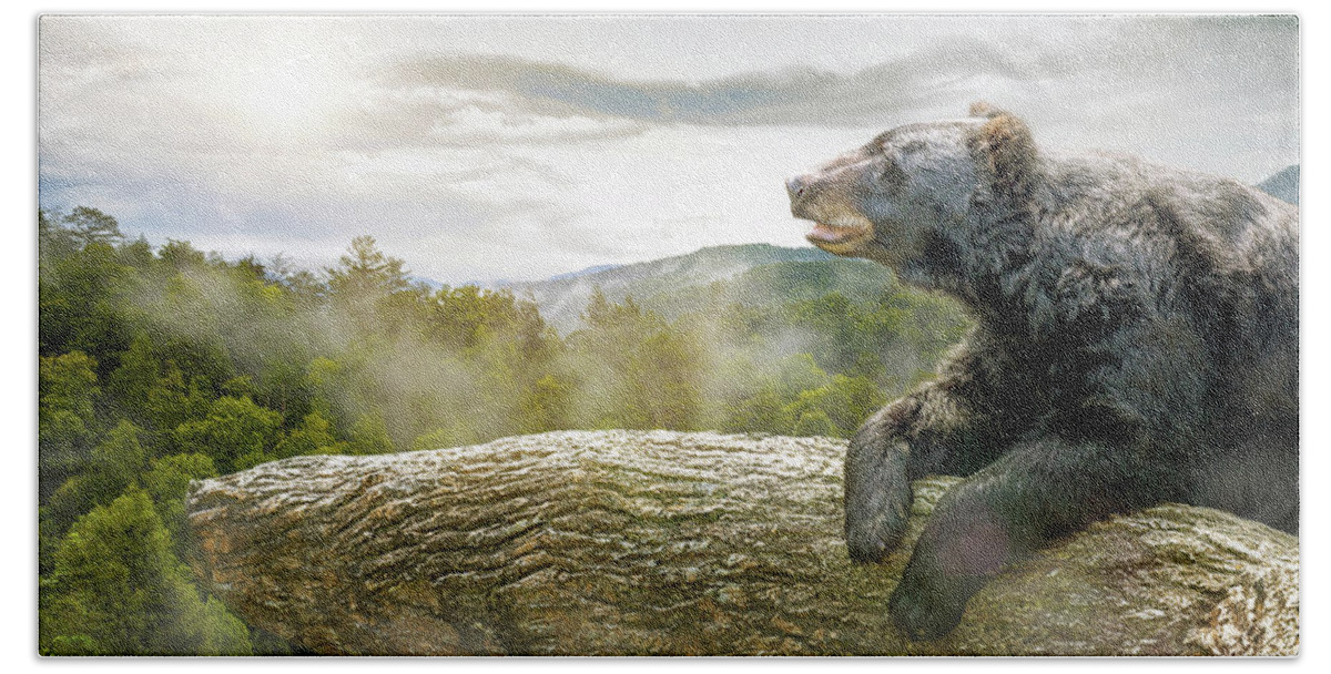 Brown Bear Hand Towel featuring the photograph Bear in Tree at Smoky Mountains Park by Good Focused