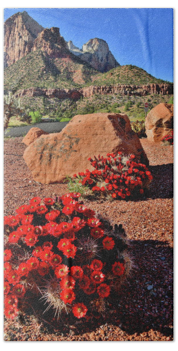 Zion National Park Bath Towel featuring the photograph Beautiful Cacti Blooms in Zion NP by Ray Mathis