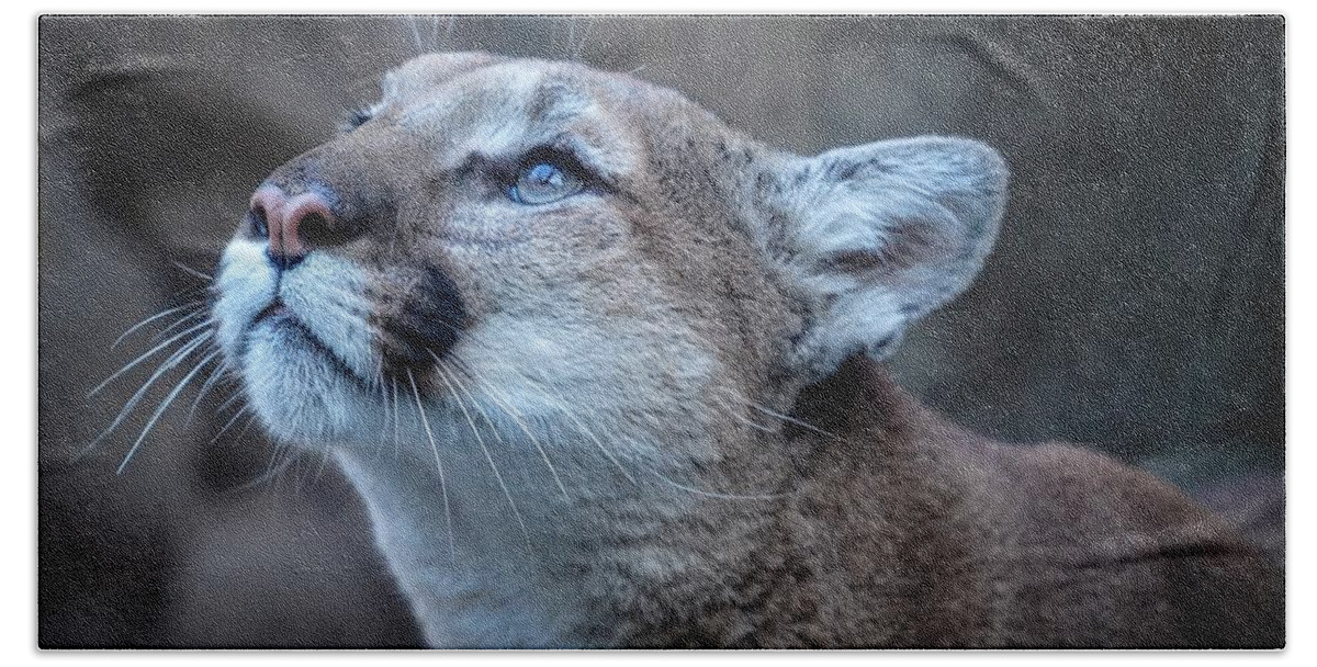 Africa Bath Towel featuring the photograph Beautiful Puma by Susan Rydberg