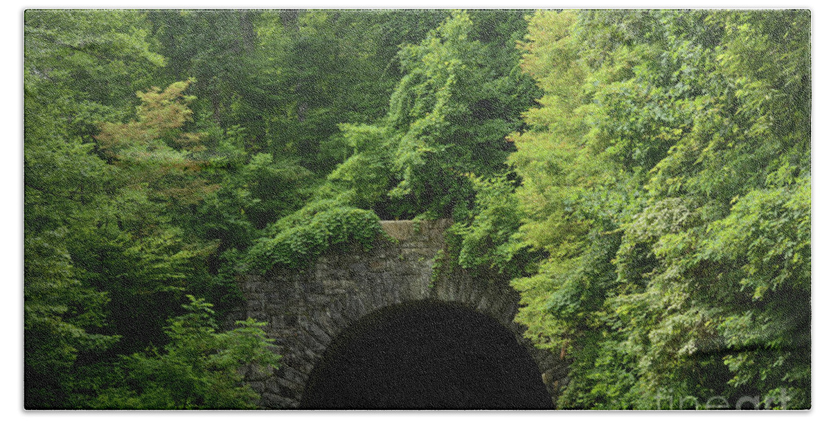 Tunnel Hand Towel featuring the photograph Beautiful Tunnel with Greenery, NC by Adrian De Leon Art and Photography