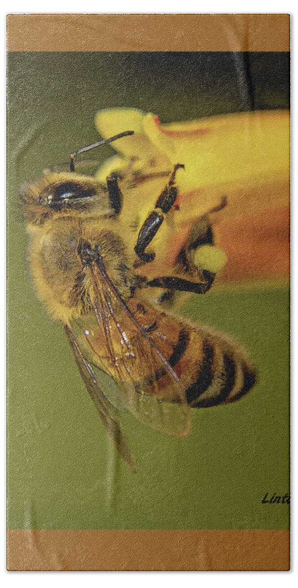 Bee Bath Towel featuring the photograph European Honey Bee by Larry Linton