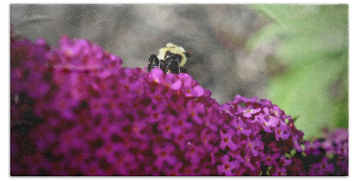 Bee Bath Towel featuring the photograph Bee on the Butterfly Bush by Kathy Chism