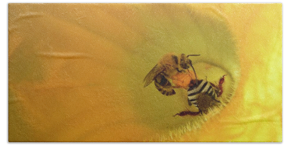 Bees Hand Towel featuring the photograph Two's Company by James Lloyd