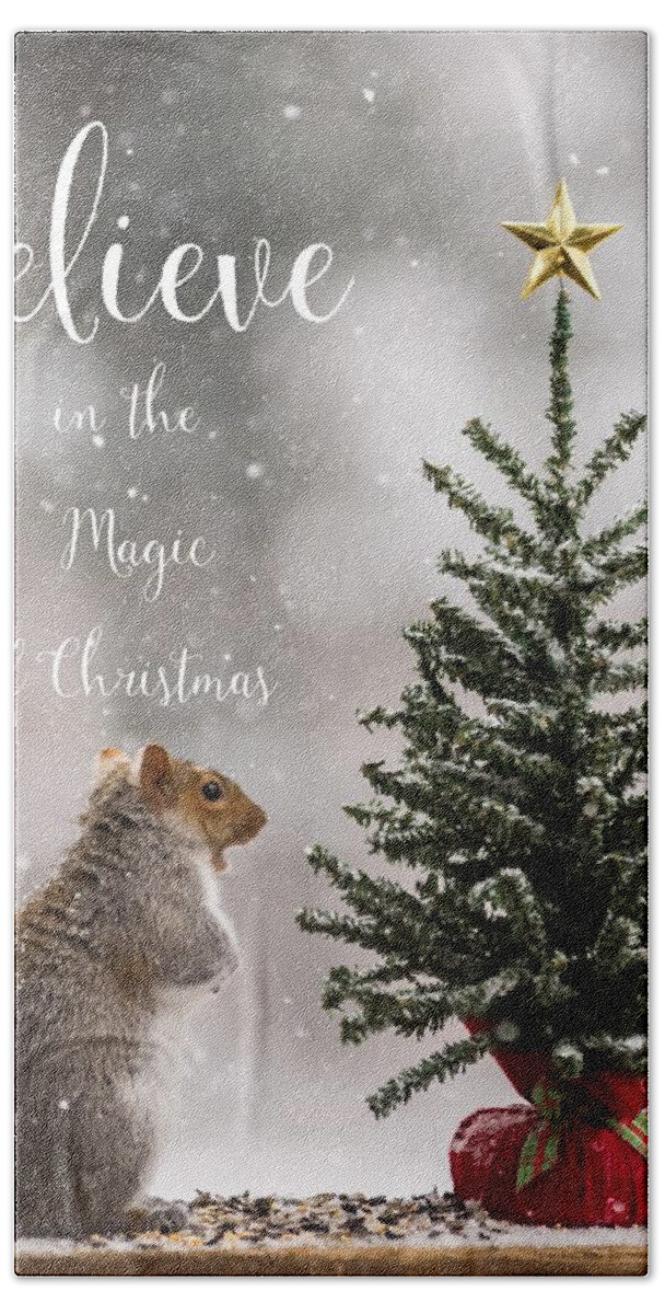 Believe In The Magic Of Christmas Squirrel Square Bath Towel featuring the photograph Believe In the Magic of Christmas Squirrel Square by Terry DeLuco