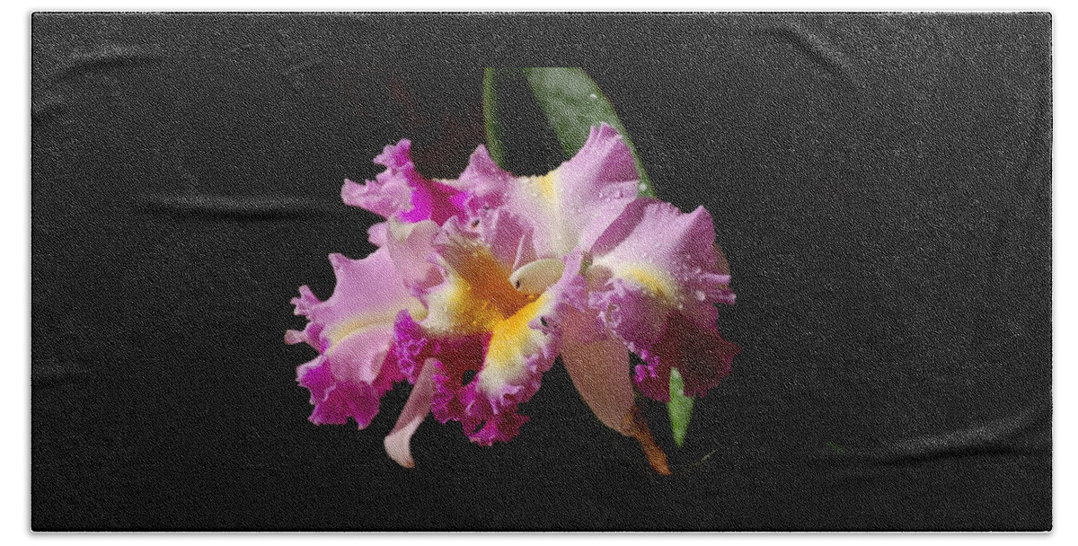 Orchid Hand Towel featuring the photograph Best Cattleya by Nancy Ayanna Wyatt