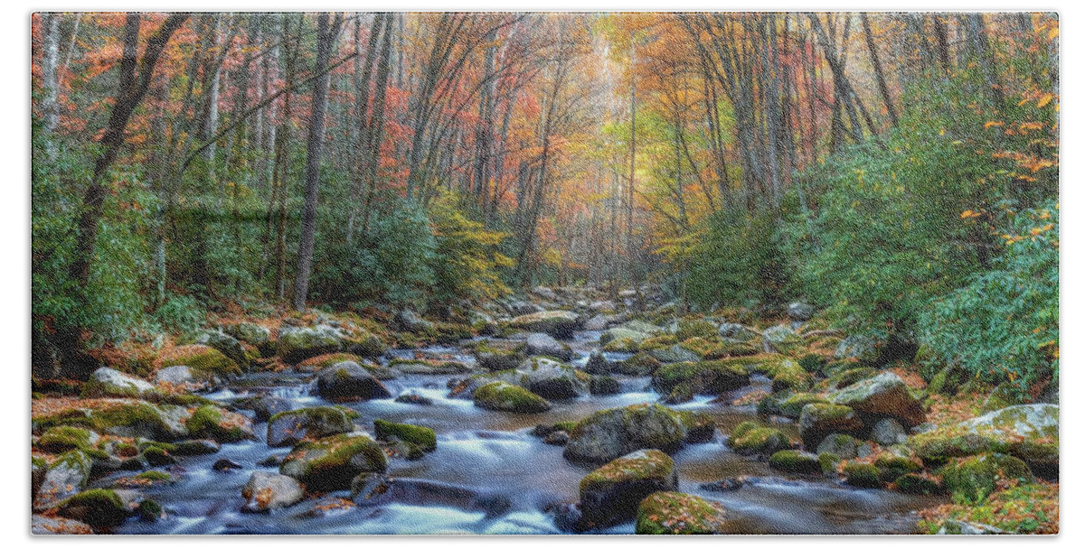 Tennessee Hand Towel featuring the photograph Big Creek Tennessee by Harriet Feagin