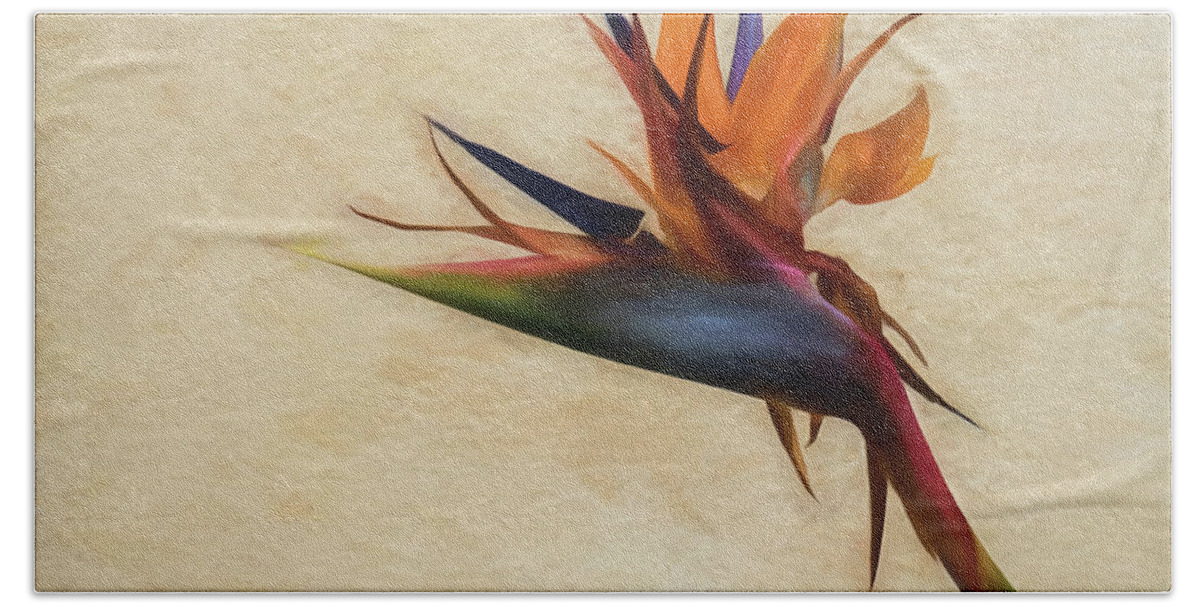 2019 Hand Towel featuring the photograph Birds-of-Paradise Flower by Wade Brooks