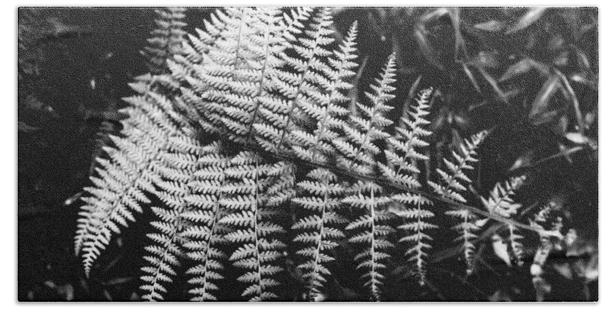 New Jersey Bath Towel featuring the photograph Black and White Fern by Louis Dallara
