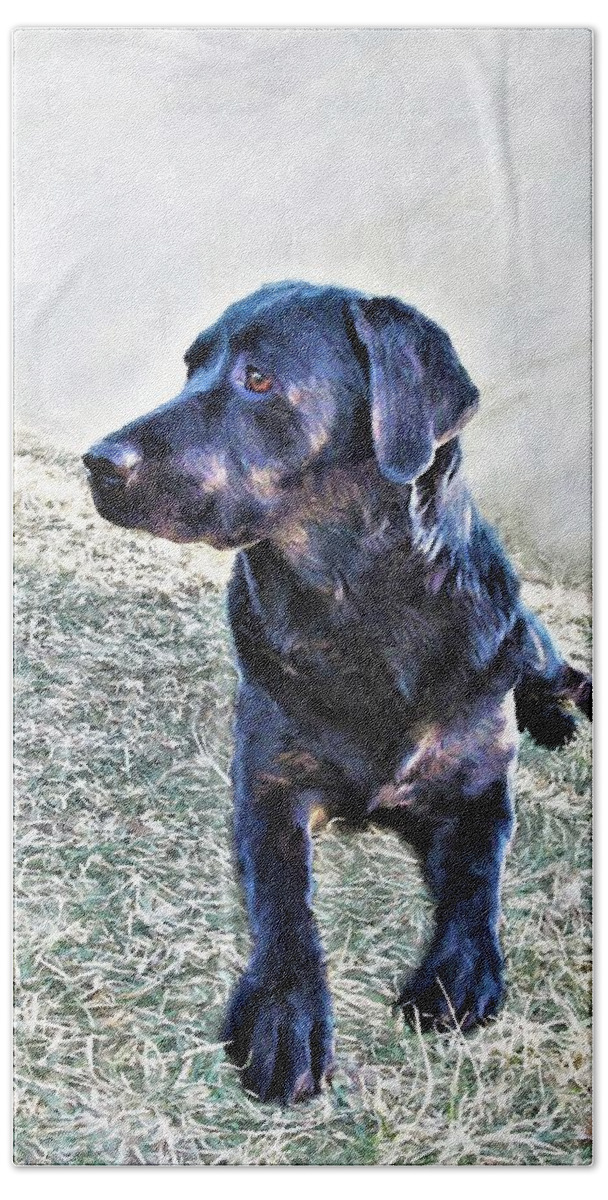 Dog Bath Towel featuring the painting Black Labrador Retriever - Daisy by Diane Chandler