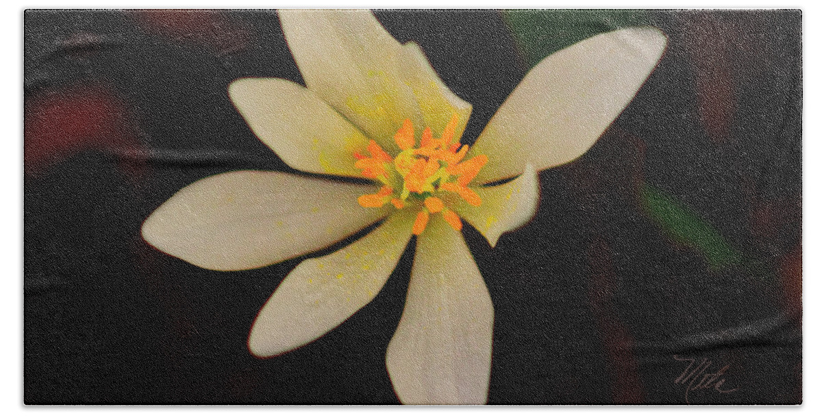 Macro Photography Bath Towel featuring the photograph Bloodroot by Meta Gatschenberger