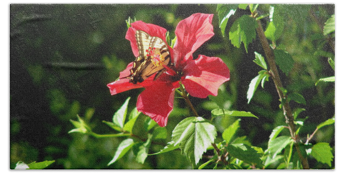 Flower Bloom Hibiscus Monarch Butterfly Bath Towel featuring the photograph Bloom Bloom 5 by Lee Antle