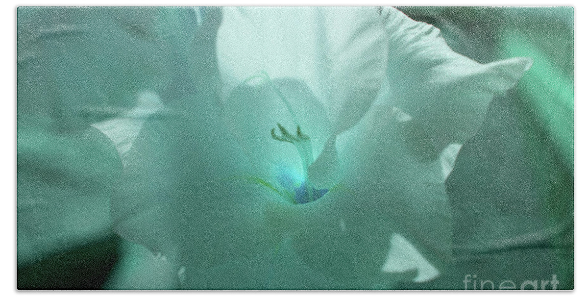 Blue Bath Towel featuring the photograph Blue Amaryllis by Rich Collins