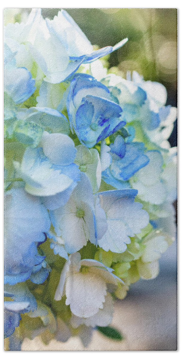 Blue And White Hydrangeas Bath Towel featuring the photograph Blue and Bokeh by Mary Ann Artz