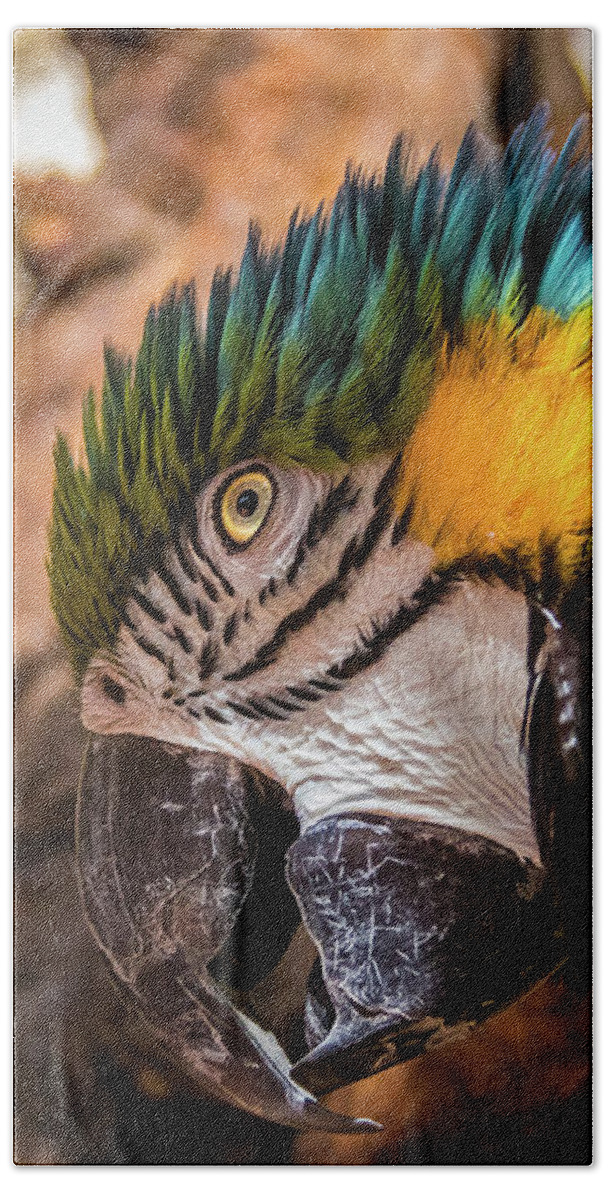 Macaw Hand Towel featuring the photograph Blue and yellow macaw portrait by Lyl Dil Creations