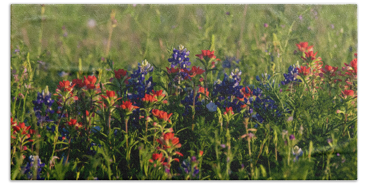 Blue Bath Towel featuring the photograph Bluebonnets and Indian Paintbrush by Patrick Nowotny