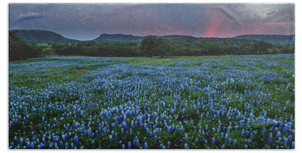  Bath Towel featuring the photograph Bluebonnets At Saddle Mountain by Johnny Boyd