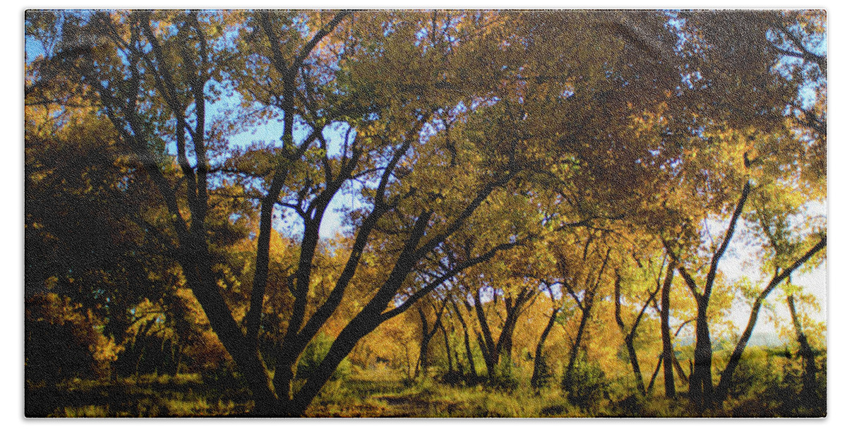 Bosque Hand Towel featuring the photograph Bosque Color by Jeff Phillippi
