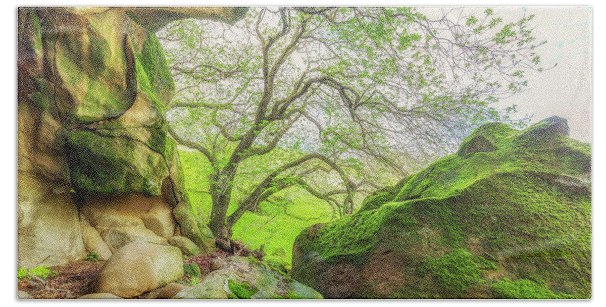 Landscape Bath Towel featuring the photograph Boulders and Trees at Vasco Caves by Marc Crumpler