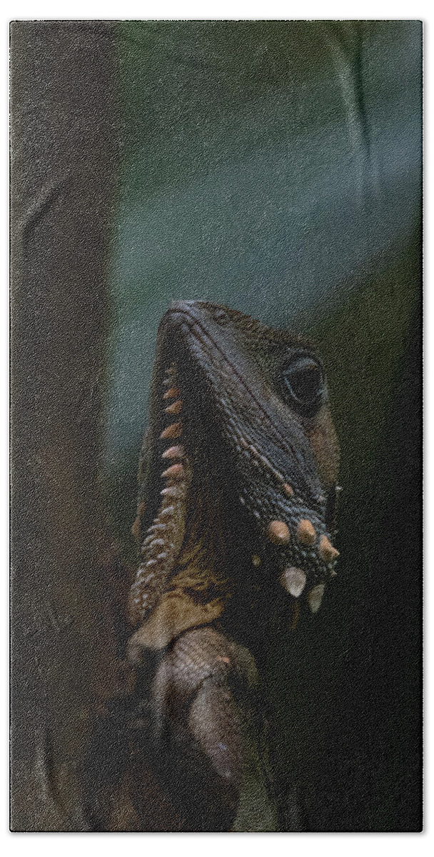 Australia Hand Towel featuring the photograph Boyd's Forest Dragon by Patrick Nowotny