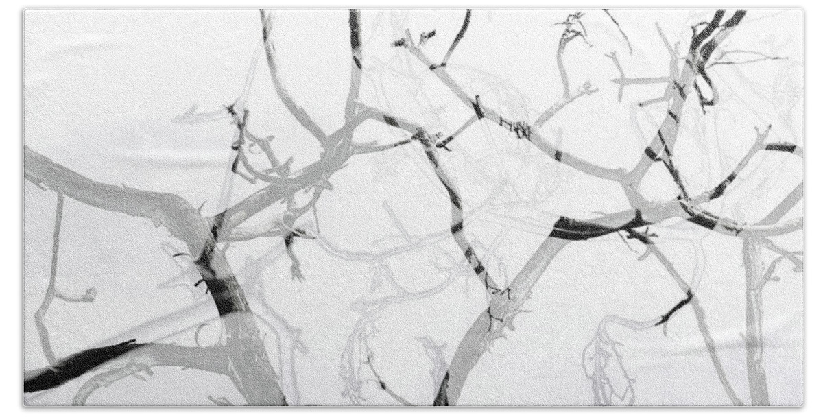 Branches Bath Towel featuring the photograph Branches on Branches by Kathy Paynter