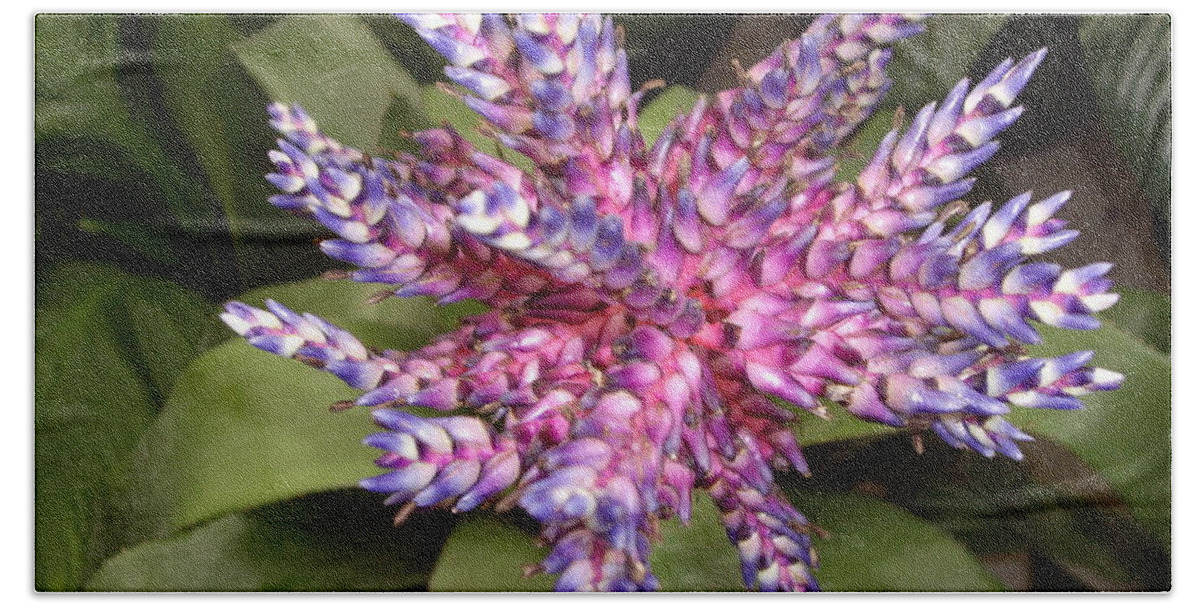 Bromeliad Bath Towel featuring the photograph Bromeliad pink, purple, blue flower by Nancy Ayanna Wyatt