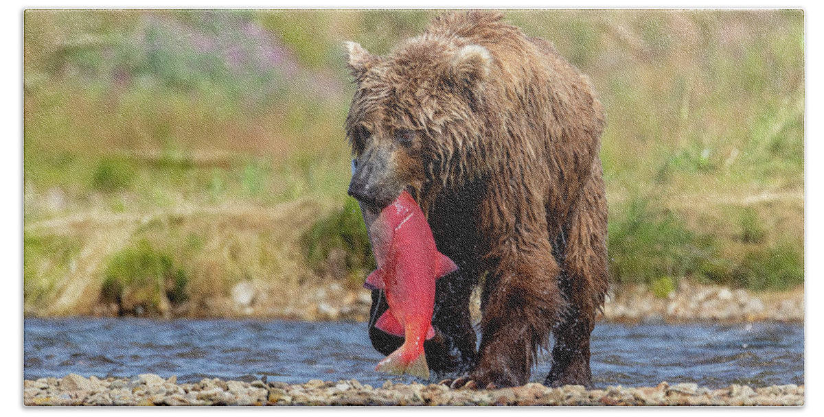 Bear Bath Towel featuring the photograph Brown Bear Holds Its Meal by Tony Hake