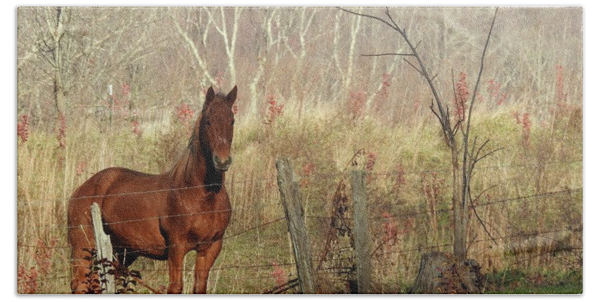 Horse Bath Towel featuring the photograph Brown Beauty by Kathy Ozzard Chism