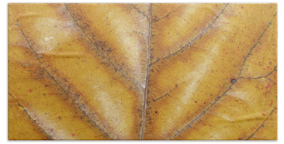 Brown Leaf Markings Bath Towel featuring the photograph Brown Leaf Markings by Helen Jackson