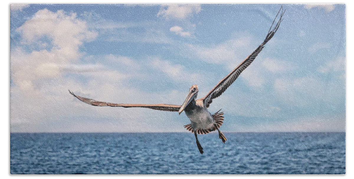Brown Pelican Bath Towel featuring the photograph Brown Pelican Number Three by Endre Balogh