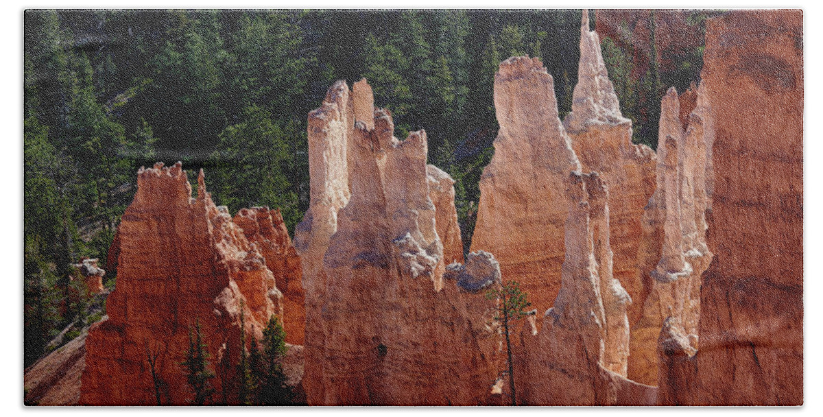 Bryce Canyon National Park Bath Towel featuring the photograph Bryce Canyon by Paul Freidlund