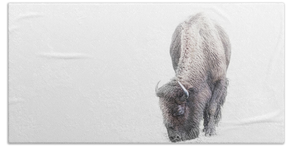 Evie Hand Towel featuring the photograph Buffalo in white by Evie Carrier