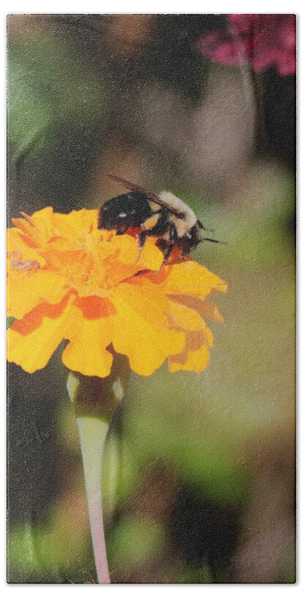 Bumble Bee Bath Towel featuring the photograph Bumble Bee 3440 by John Moyer