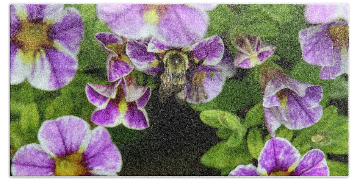 Bumble Bee Bath Towel featuring the photograph Bumbler in flower by Brook Burling
