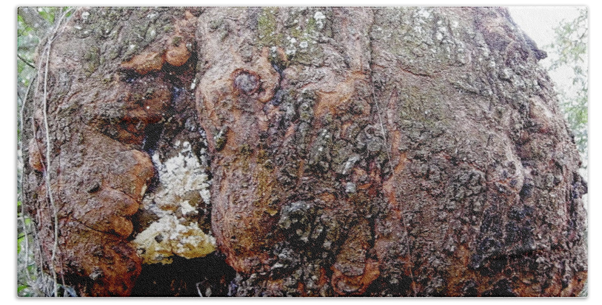 Burl Bath Sheet featuring the photograph Burl In An Oak by D Hackett