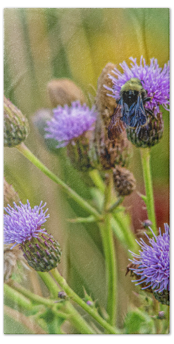 https://render.fineartamerica.com/images/rendered/default/flat/bath-towel/images/artworkimages/medium/2/busy-bumble-bee-theresa-peterson.jpg?&targetx=-142&targety=0&imagewidth=761&imageheight=952&modelwidth=476&modelheight=952&backgroundcolor=646522&orientation=0&producttype=bathtowel-32-64