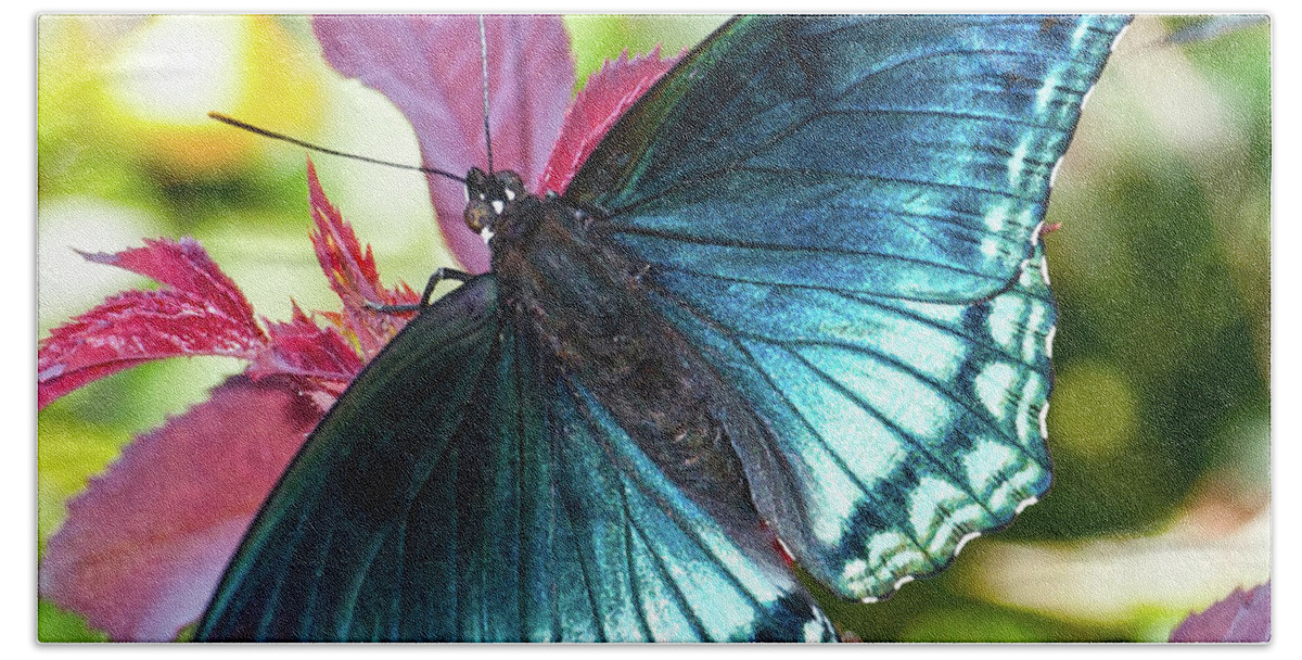Blue Bath Towel featuring the photograph Butterfly Blues by Billy Knight