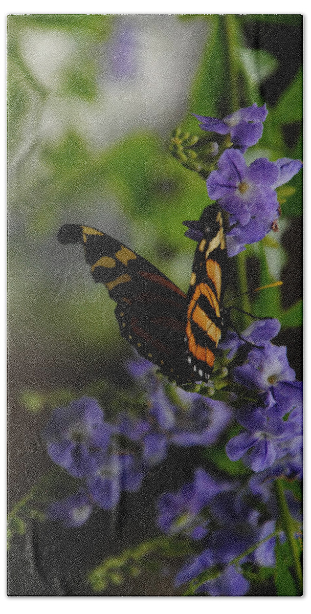 Butterfly Hand Towel featuring the photograph Butterfly in Shadow by Vallee Johnson