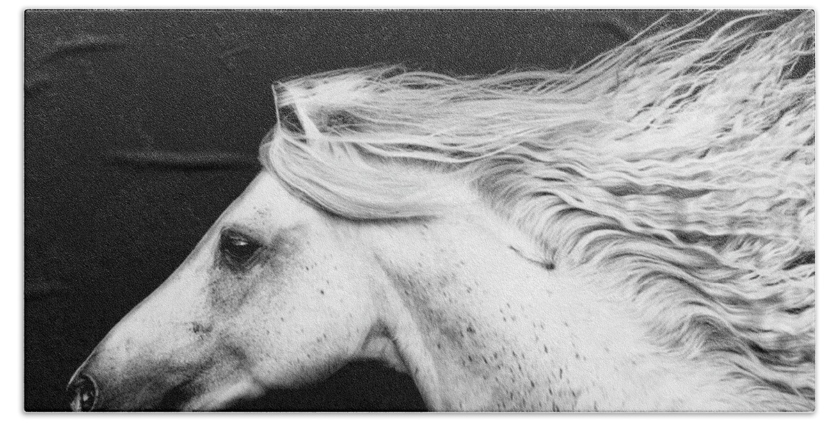 Photography Hand Towel featuring the photograph B&w Horses V by Phburchett