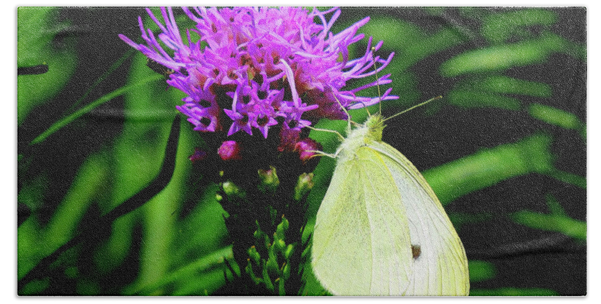Cabbage White Butterfly Bath Towel featuring the photograph Cabbage White and Purple by Linda Stern