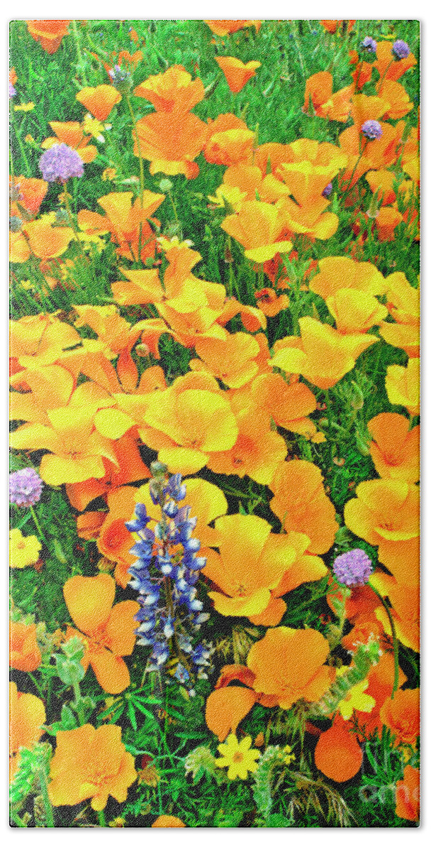 North America Hand Towel featuring the photograph California Poppies and Betham Lupines Southern California by Dave Welling