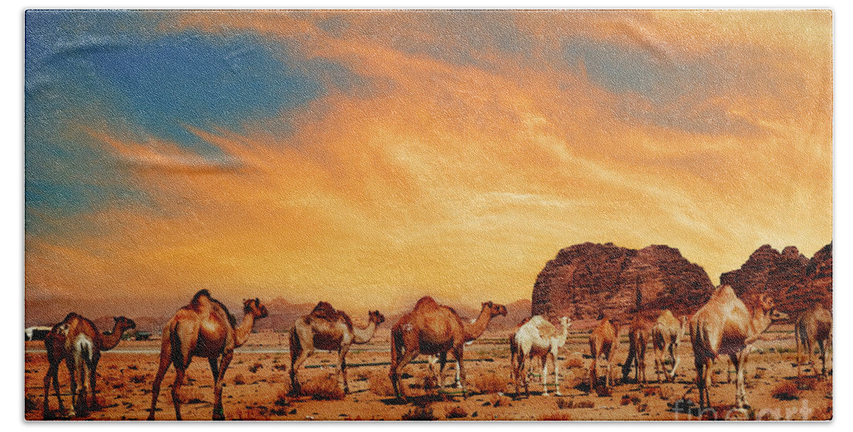 Camel Hand Towel featuring the photograph Camels in Wadi Rum by Jelena Jovanovic